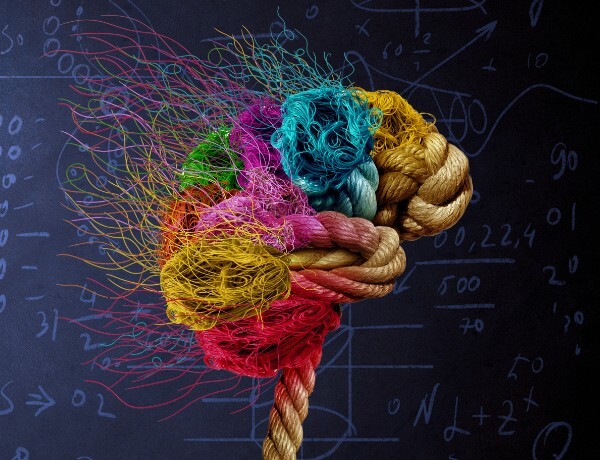 Sześć typów osobowości w zespole – jak stworzyć „genialny” zespół?